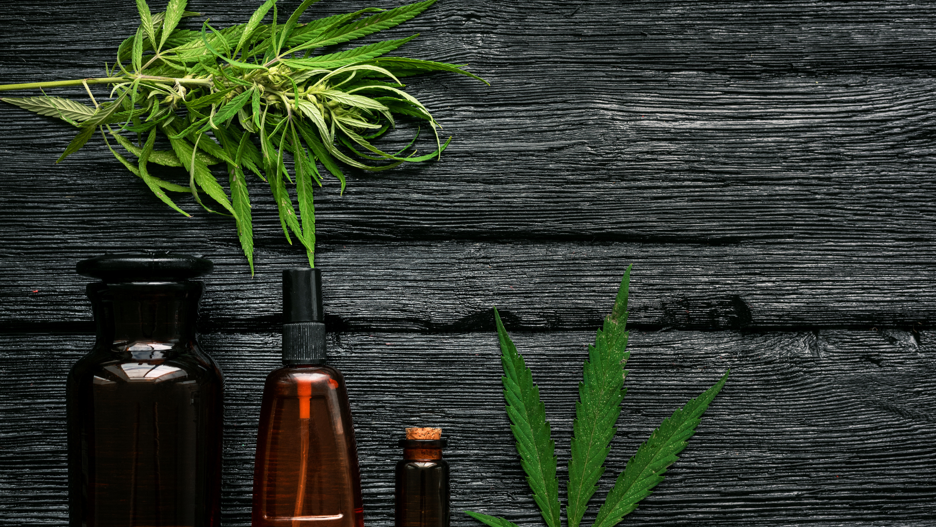 CBD Oil and Medication: Benefits and Potential Risks
