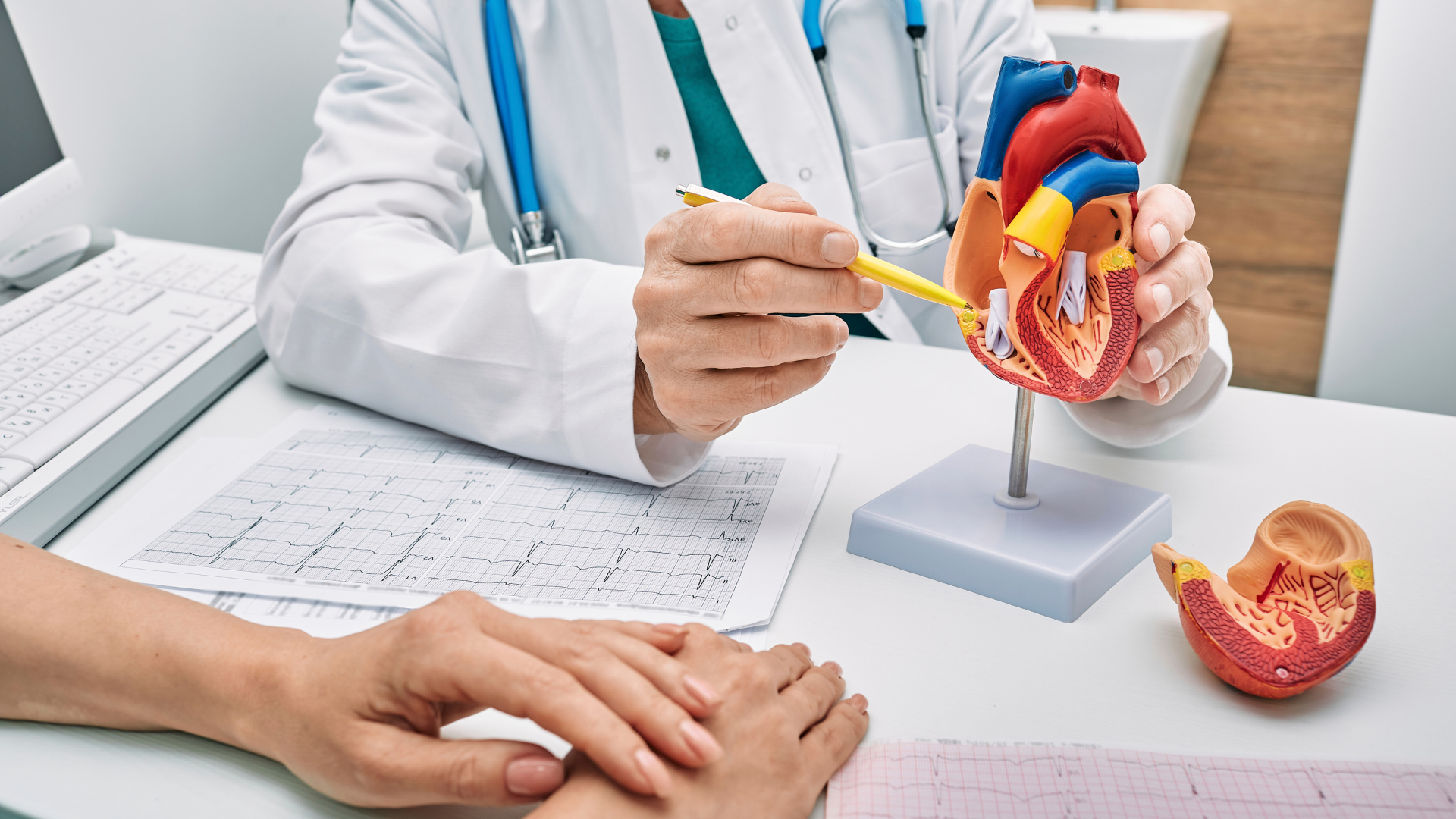 When to Seek Cardiology Care: Signs You Need a Specialist